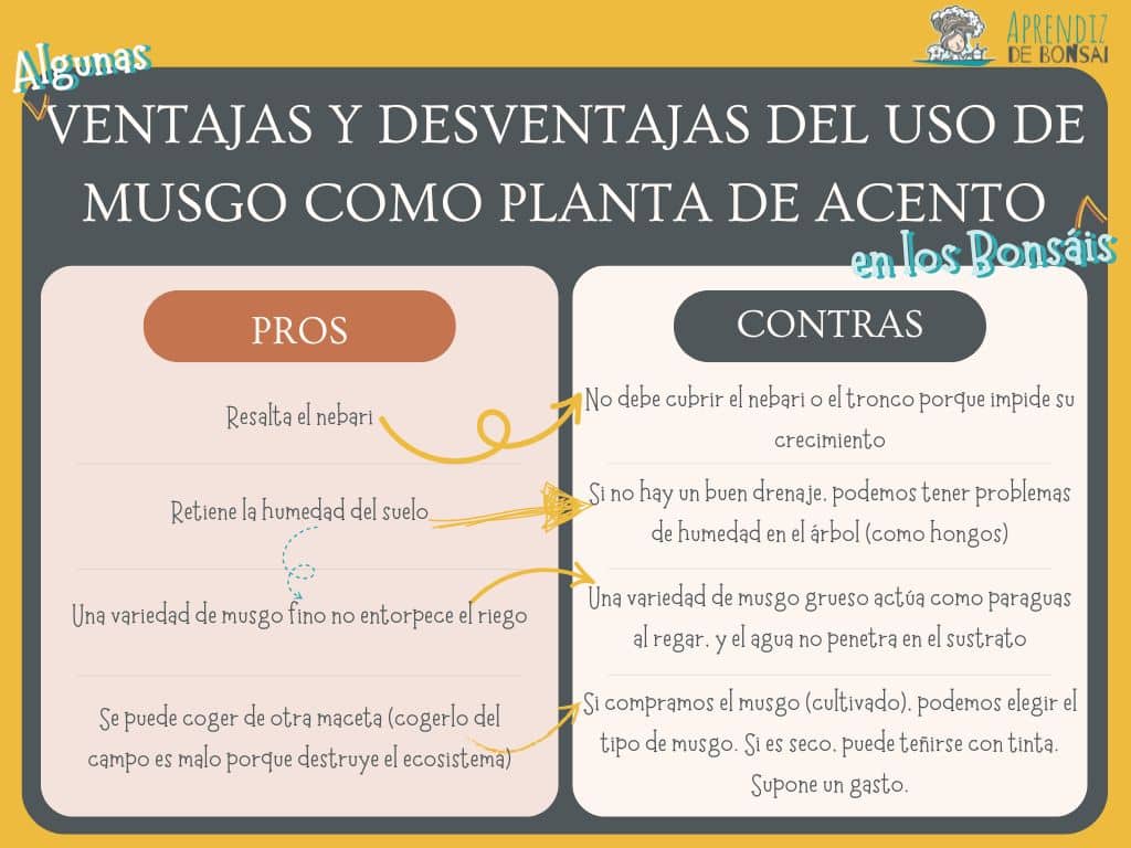 Bonsáis y Musgo: La polémica está servida